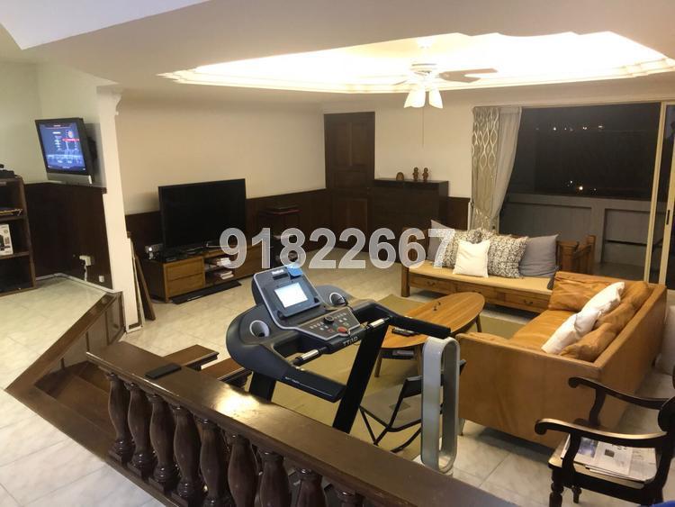 Equatorial Apartments (D15), Apartment #157036342